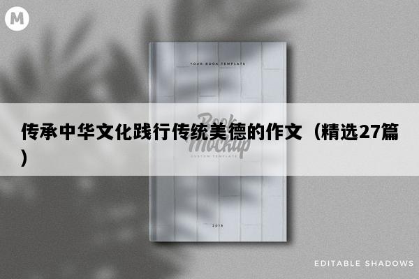 传承中华文化践行传统美德的作文（精选27篇）