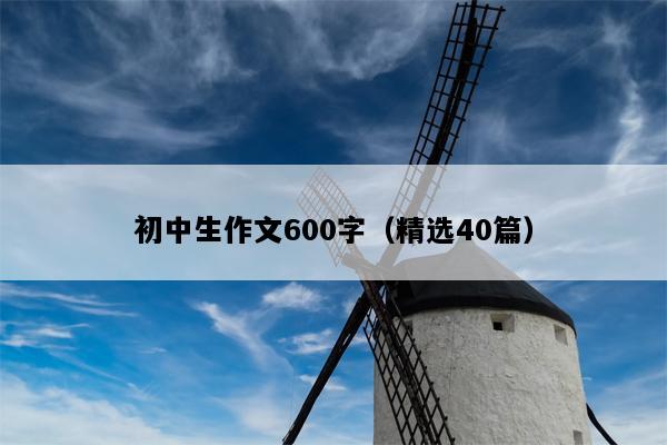 初中生作文600字（精选40篇）