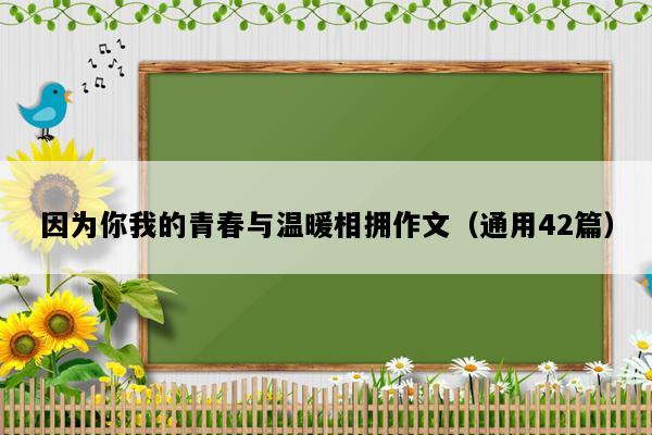 因为你我的青春与温暖相拥作文（通用42篇）