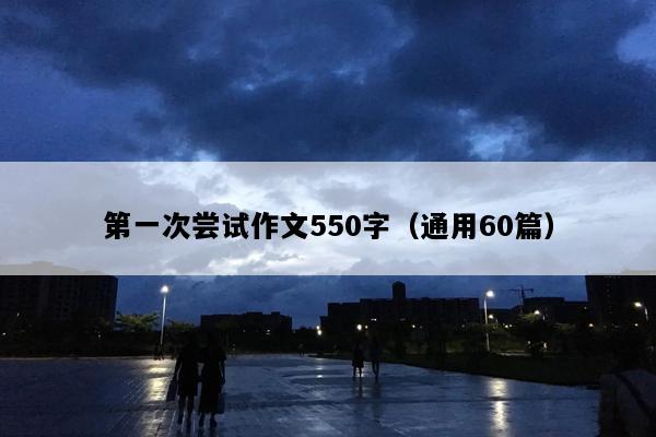第一次尝试作文550字（通用60篇）
