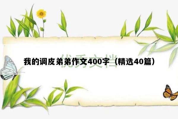我的调皮弟弟作文400字（精选40篇）