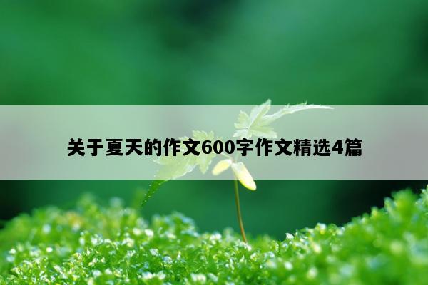 关于夏天的作文600字作文精选4篇