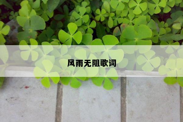 风雨无阻歌词