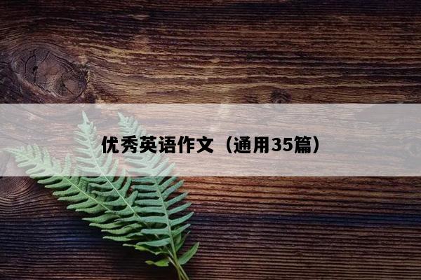 优秀英语作文（通用35篇）