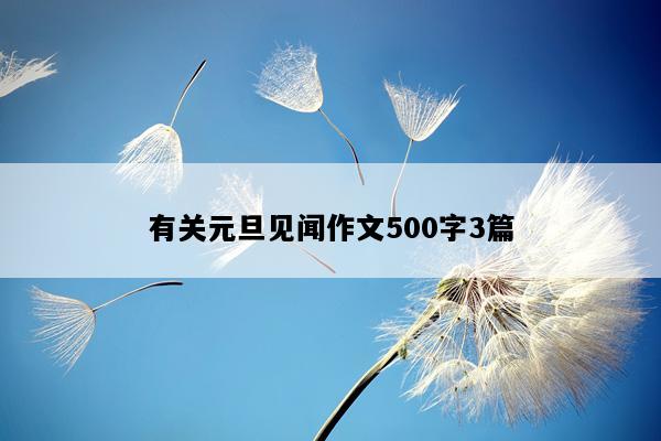 有关元旦见闻作文500字3篇