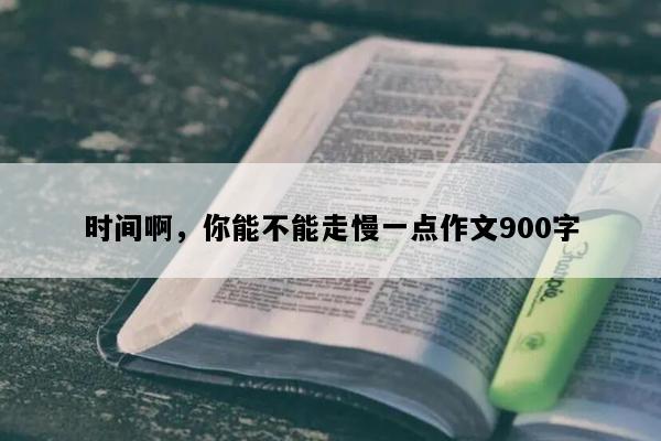 时间啊，你能不能走慢一点作文900字