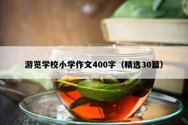 游览学校小学作文400字（精选30篇）
