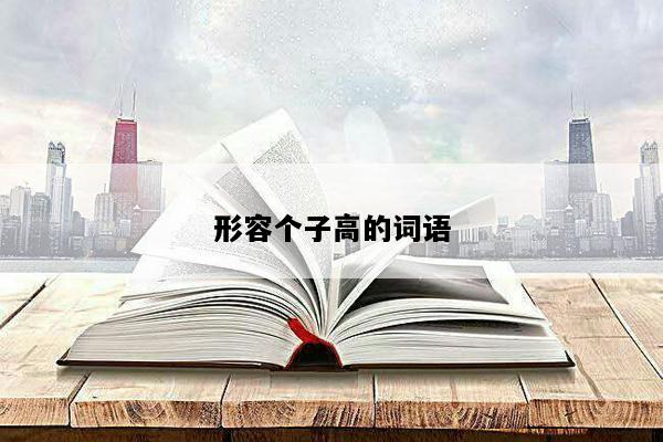形容个子高的词语