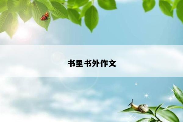 书里书外作文
