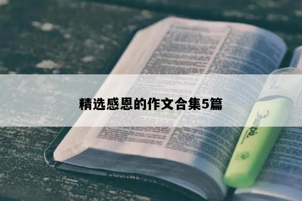 精选感恩的作文合集5篇