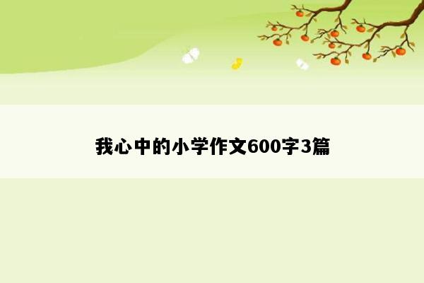 我心中的小学作文600字3篇