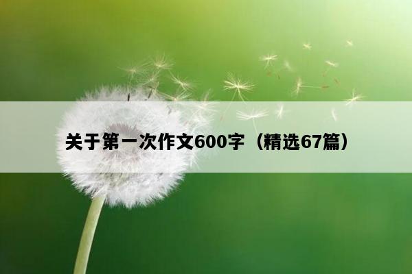关于第一次作文600字（精选67篇）