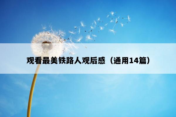 观看最美铁路人观后感（通用14篇）