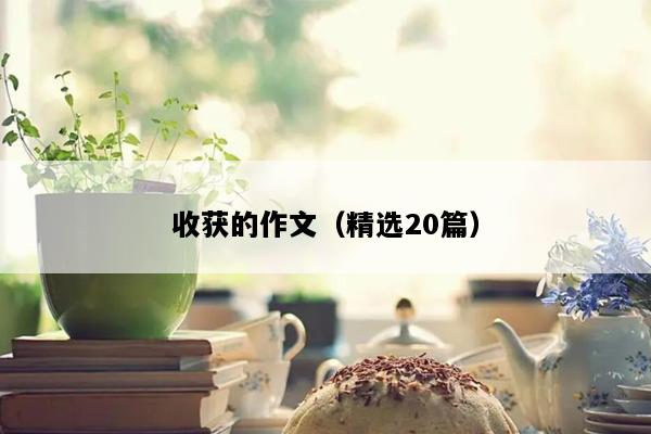 收获的作文（精选20篇）