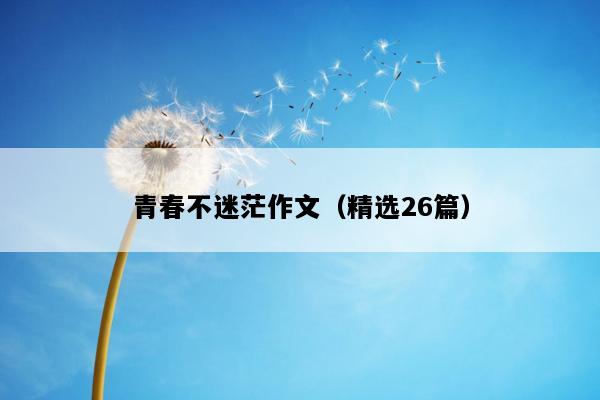 青春不迷茫作文（精选26篇）