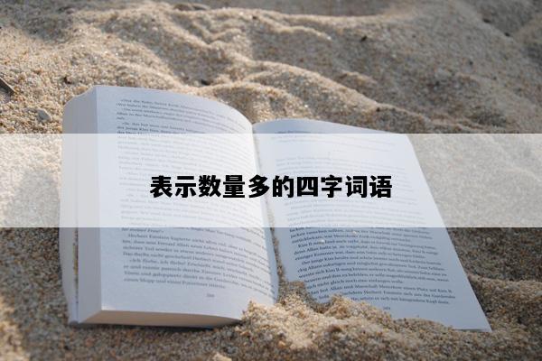 表示数量多的四字词语
