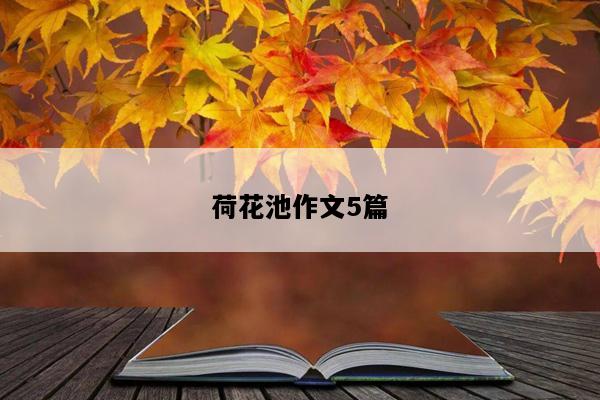 荷花池作文5篇