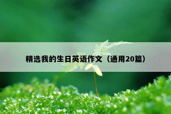 精选我的生日英语作文（通用20篇）