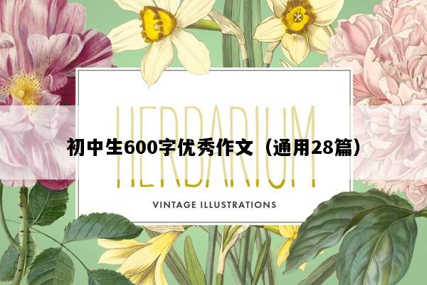 初中生600字优秀作文（通用28篇）