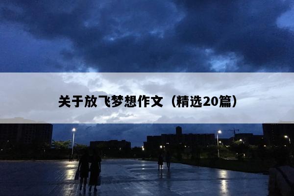 关于放飞梦想作文（精选20篇）