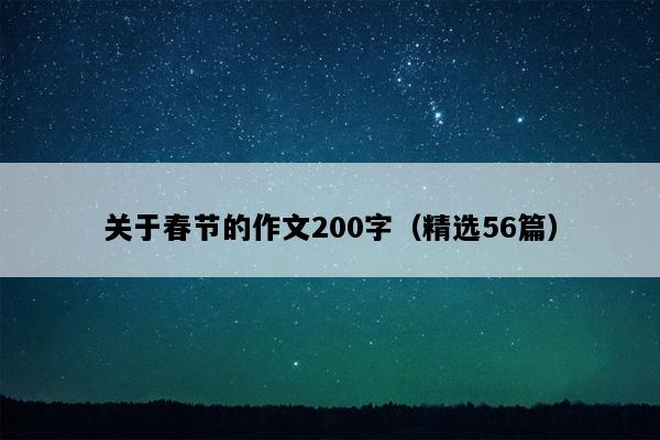 关于春节的作文200字（精选56篇）