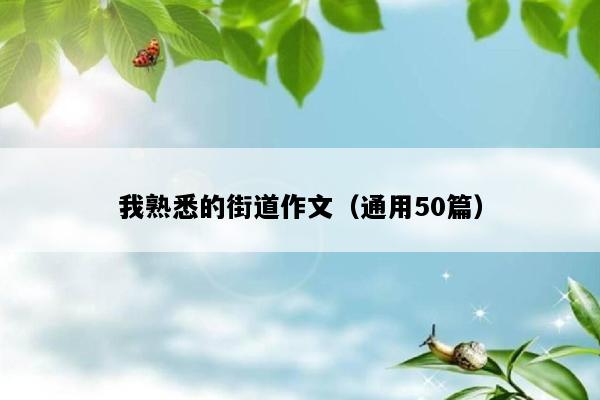 我熟悉的街道作文（通用50篇）