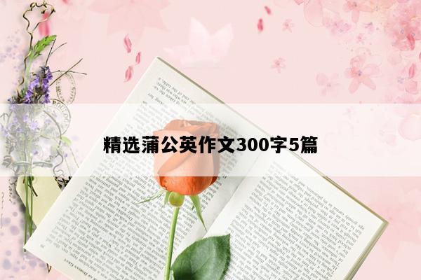 精选蒲公英作文300字5篇