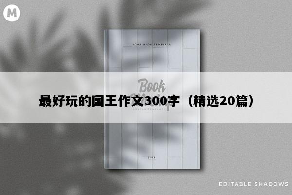 最好玩的国王作文300字（精选20篇）