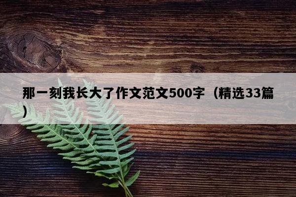 那一刻我长大了作文范文500字（精选33篇）