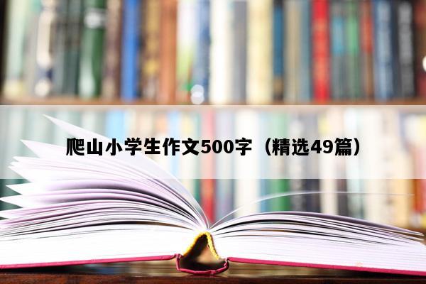 爬山小学生作文500字（精选49篇）