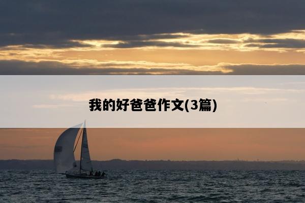我的好爸爸作文(3篇)