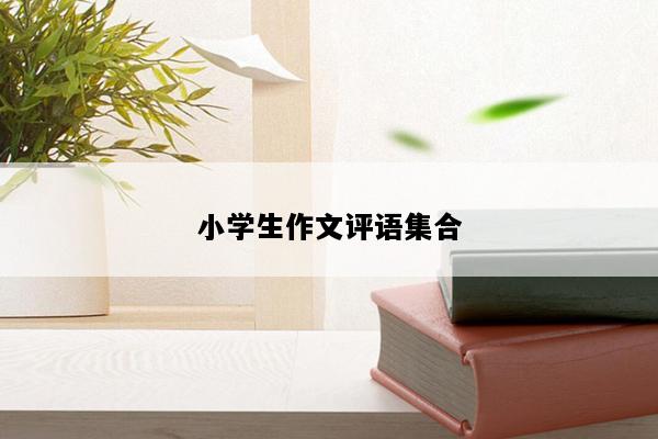 小学生作文评语集合