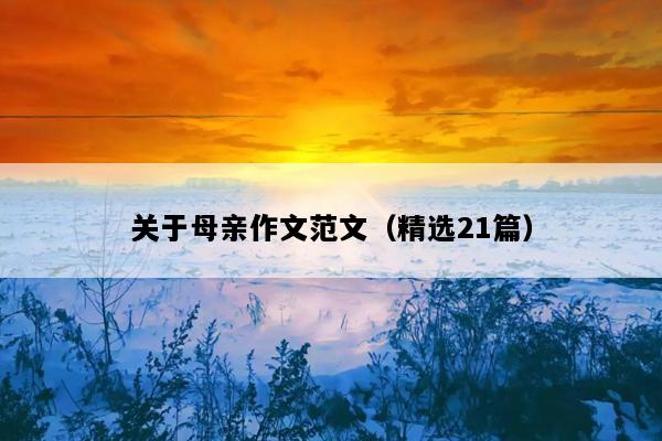 关于母亲作文范文（精选21篇）