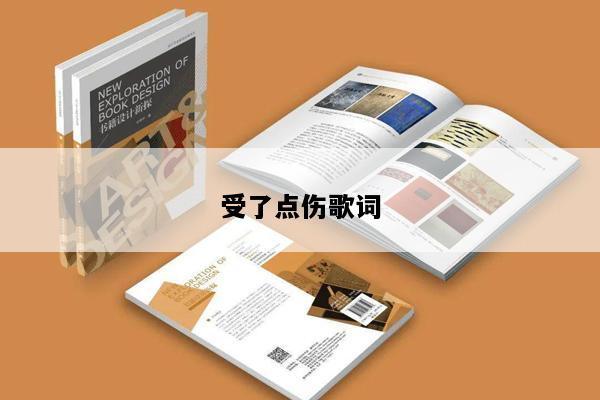 受了点伤歌词