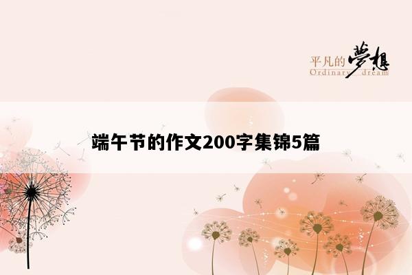 端午节的作文200字集锦5篇