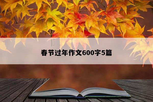 春节过年作文600字5篇