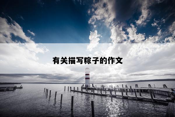 有关描写粽子的作文
