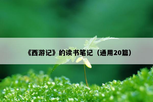 《西游记》的读书笔记（通用20篇）