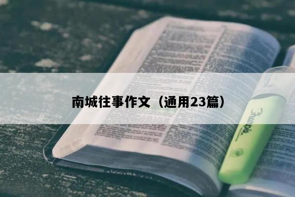 南城往事作文（通用23篇）