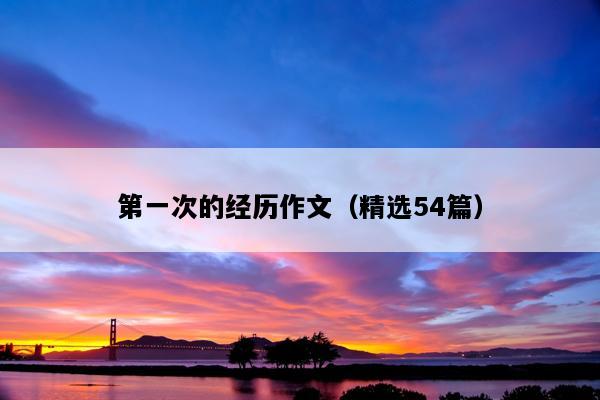 第一次的经历作文（精选54篇）