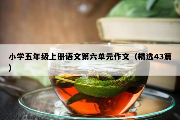 小学五年级上册语文第六单元作文（精选43篇）