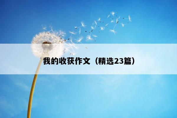 我的收获作文（精选23篇）
