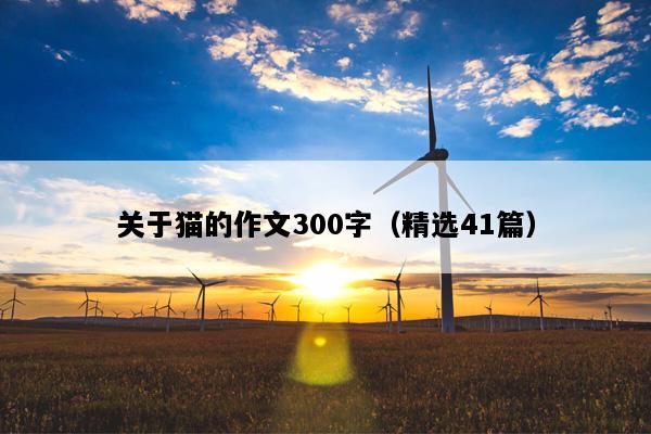 关于猫的作文300字（精选41篇）