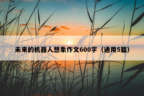 未来的机器人想象作文600字（通用5篇）
