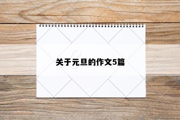 关于元旦的作文5篇