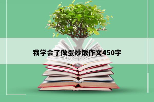 我学会了做蛋炒饭作文450字