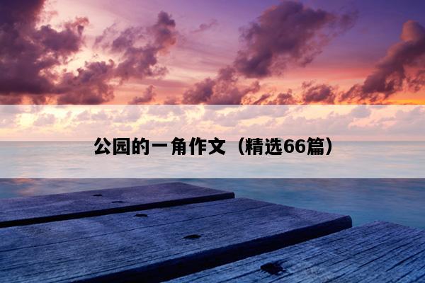 公园的一角作文（精选66篇）