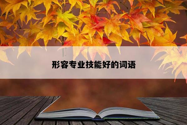 形容专业技能好的词语