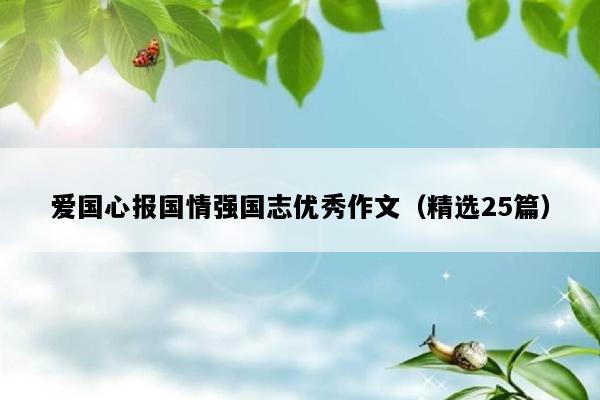 爱国心报国情强国志优秀作文（精选25篇）