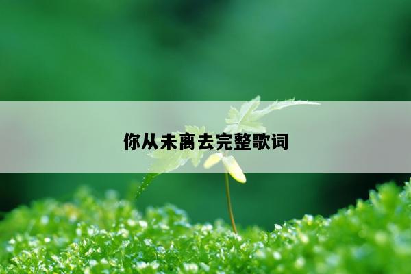 你从未离去完整歌词